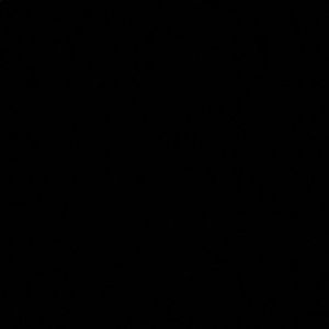 Meet your Posher, Dennis